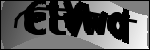 识别文本